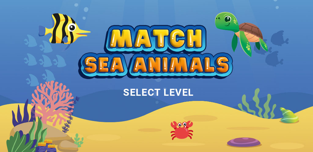 Match sea animals